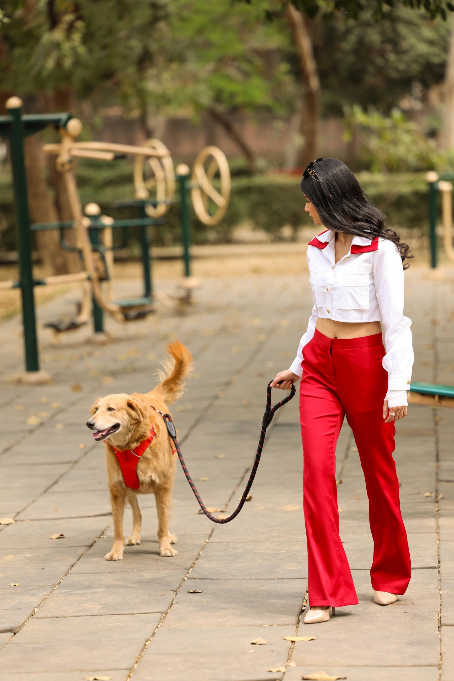 50s Pant