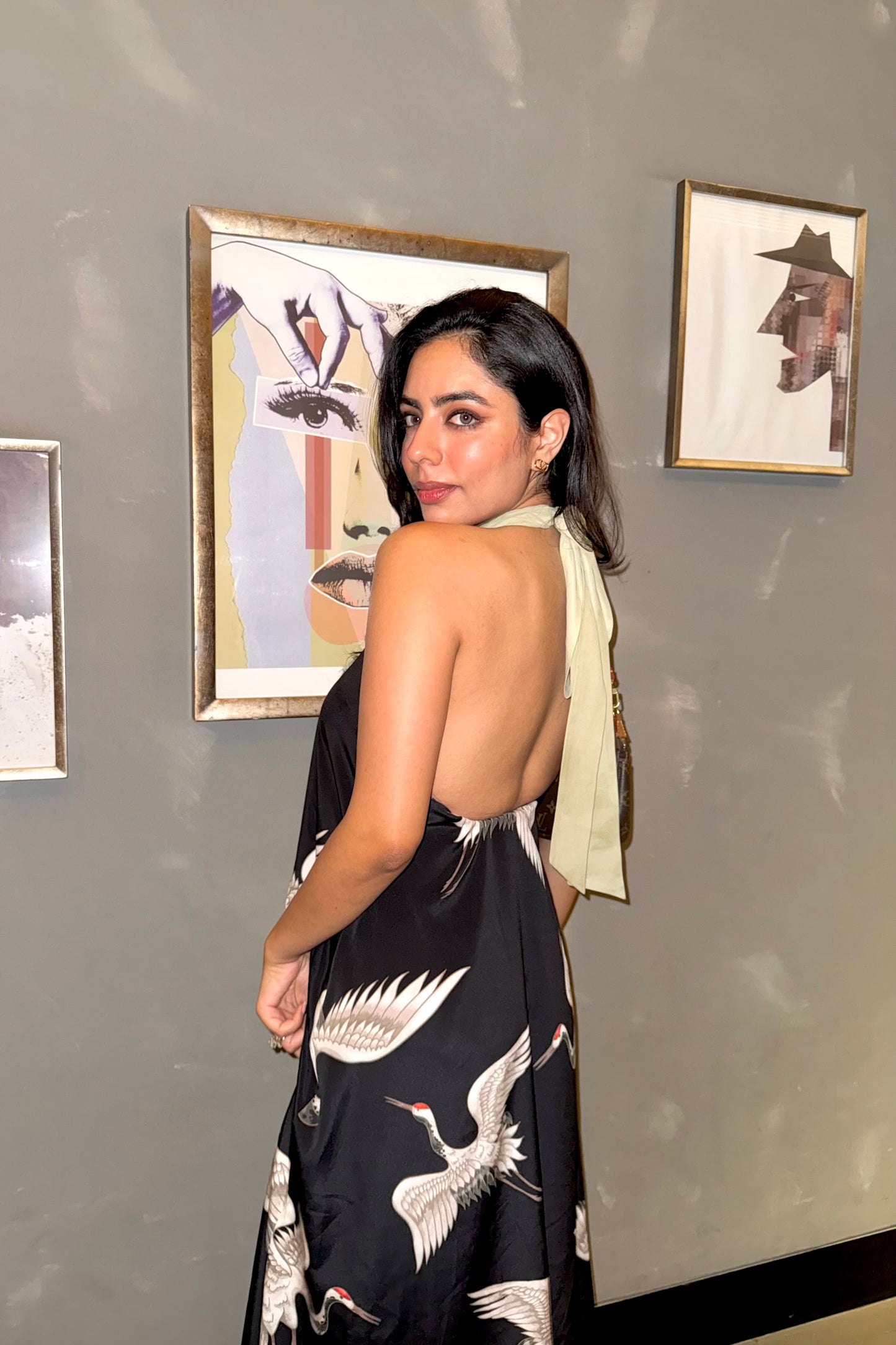 The black crane dress
